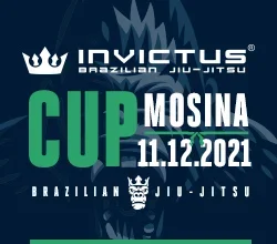 Miniature de Invictus Cup Mosina