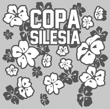 Miniatura akce COPA XV - GI & NOGI