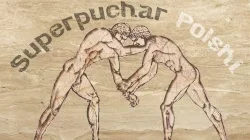 Miniatura de IV SuperPuchar Polski BJJ GI
