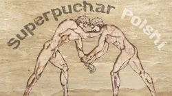 Miniature de VII SuperPuchar Polski BJJ No-Gi & Gi