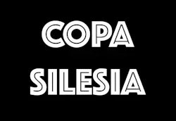 Miniature de Copa Silesia