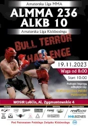 Miniatura akce ALMMA 236 Lublin