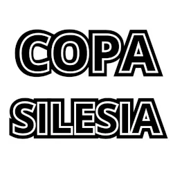 Miniature de COPA SILESIA 4 GI i NOGI