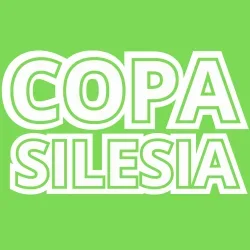 Miniature de Copa Silesia 8