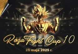 Miniature de Róża Fight Cup 10
