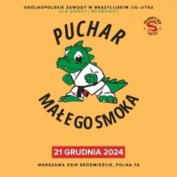 Miniature de Puchar Małego Smoka