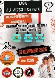 Liga Ju-Jitsu i Karate Polski Południowo-Wschodniej  bélyegképe
