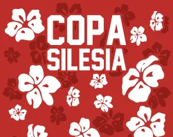 Miniature de COPA SILESIA 11 - GI & NOGI