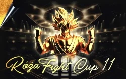 Miniature de Róża Fight Cup 11