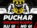 Miniature de II OTWARTY PUCHAR DOLNEGO ŚLĄSKA W BJJ GI & NO GI 2026